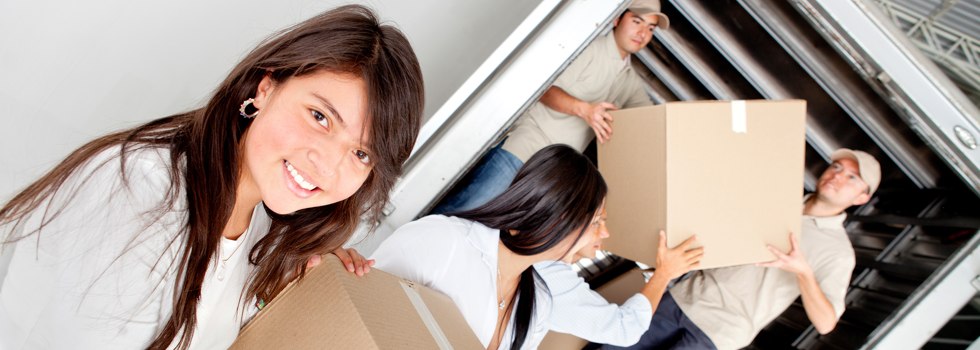 Professional Removalists Meadowvale